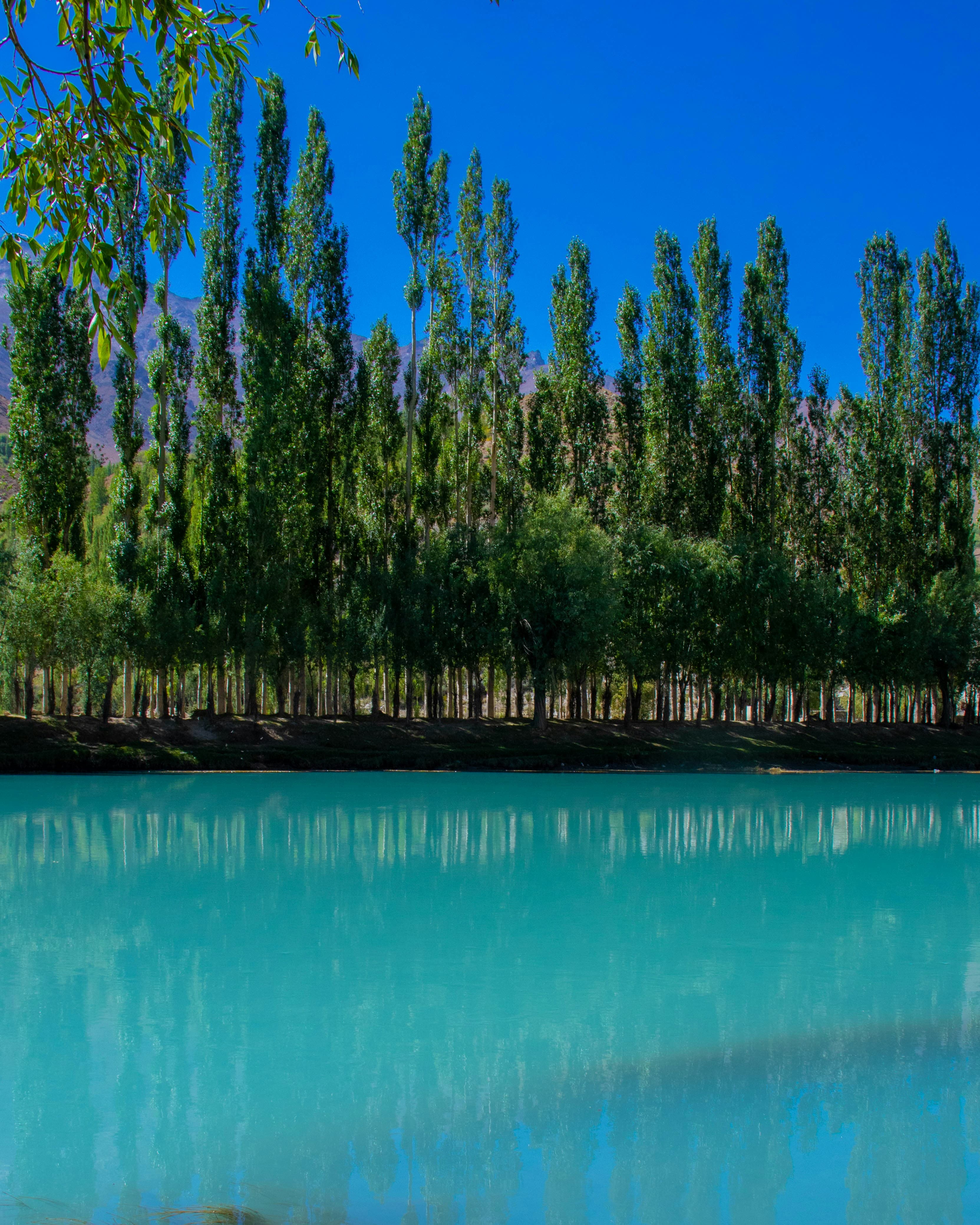 Ghizer & Phander Valleys