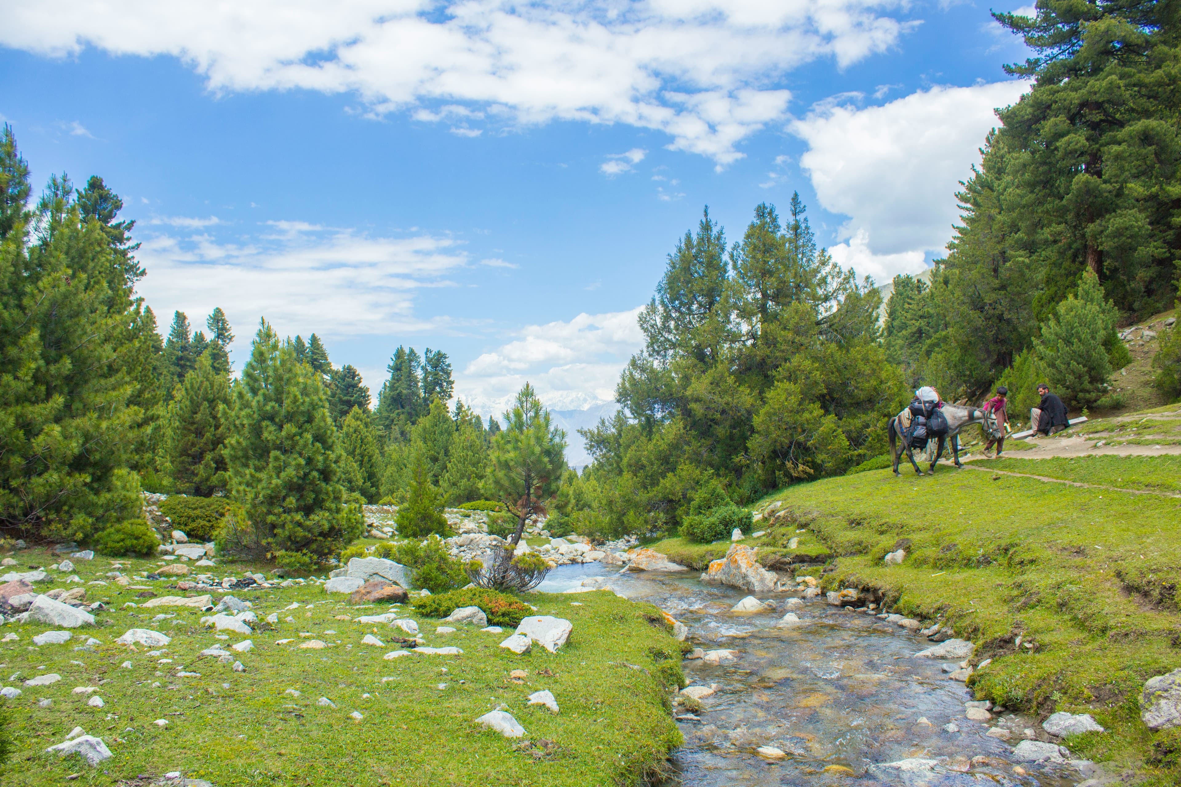 Fairy Meadows & Nanga Parbat